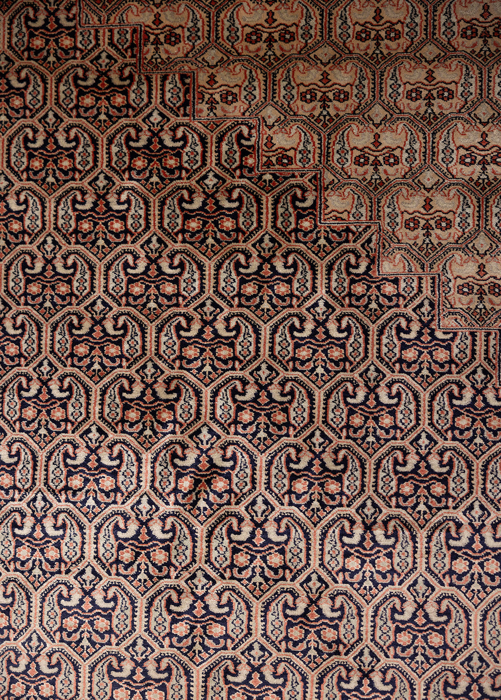 Coral Elegance — Venjara Carpets