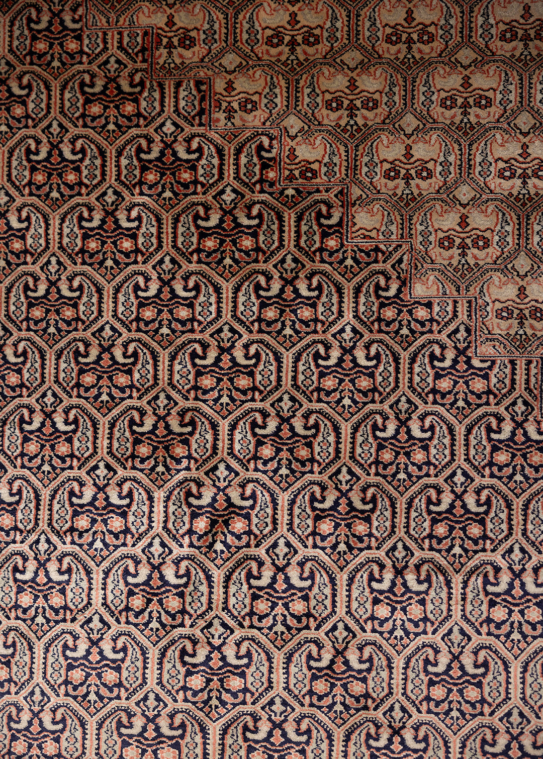 Coral Elegance — Venjara Carpets