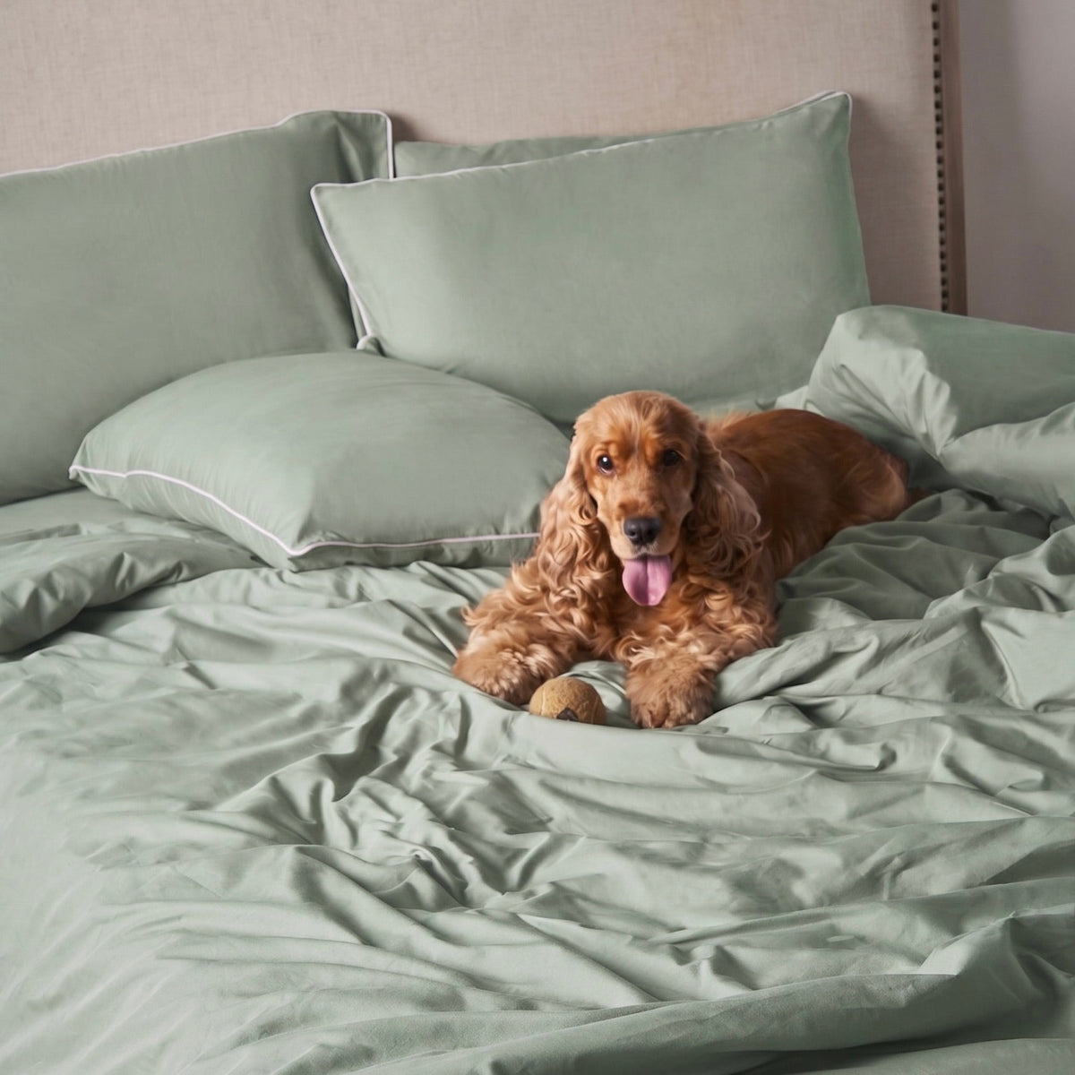 Piping Hotel Duvet Cover | 300 Thread Count | King | Seafoam