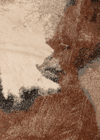 Fusion — Venjara Carpets