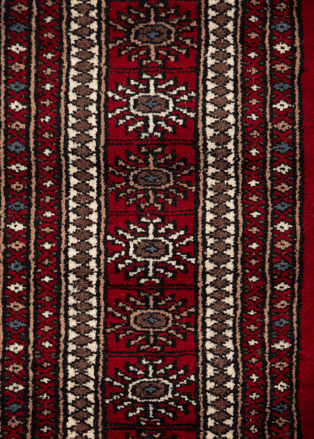 Bukhara Red — Venjara Carpets