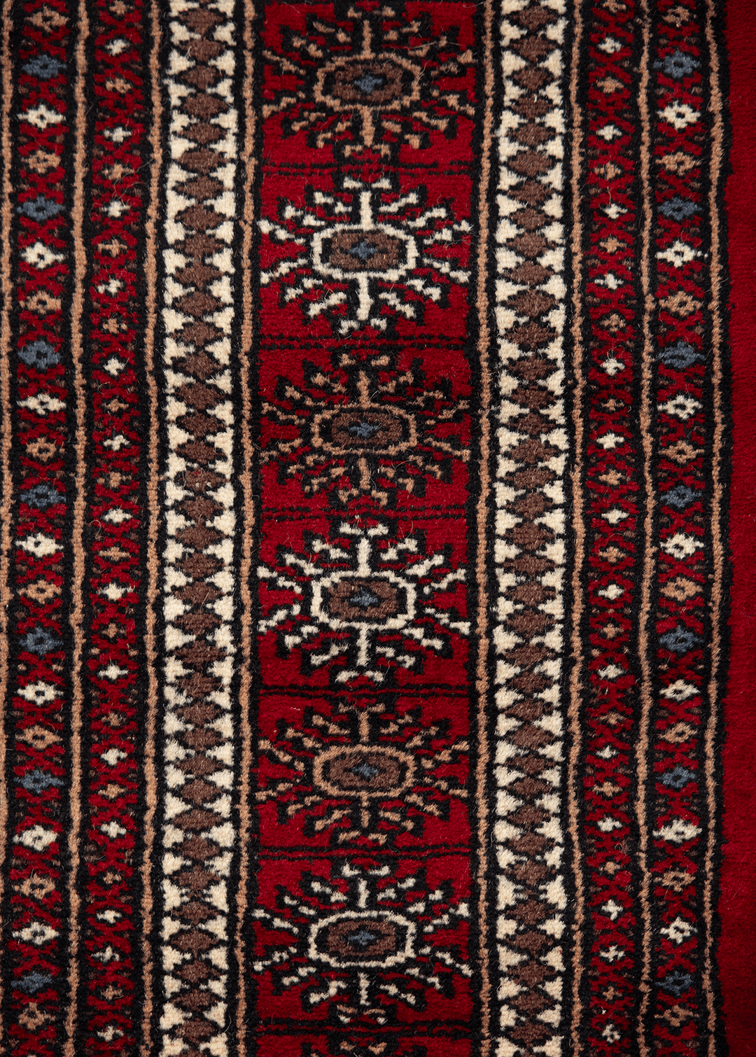 Bukhara Red — Venjara Carpets