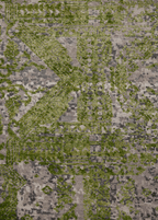 Moss Green — Venjara Carpets