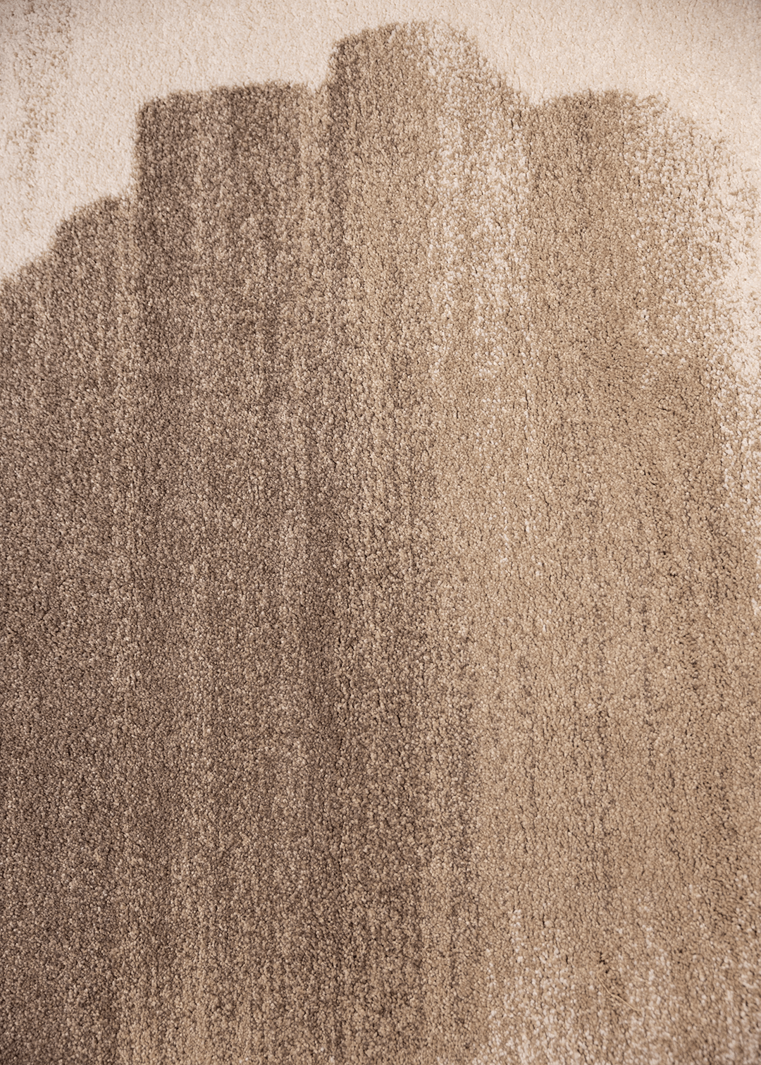 Softness — Venjara Carpets