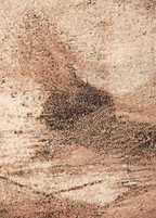 Fusion — Venjara Carpets