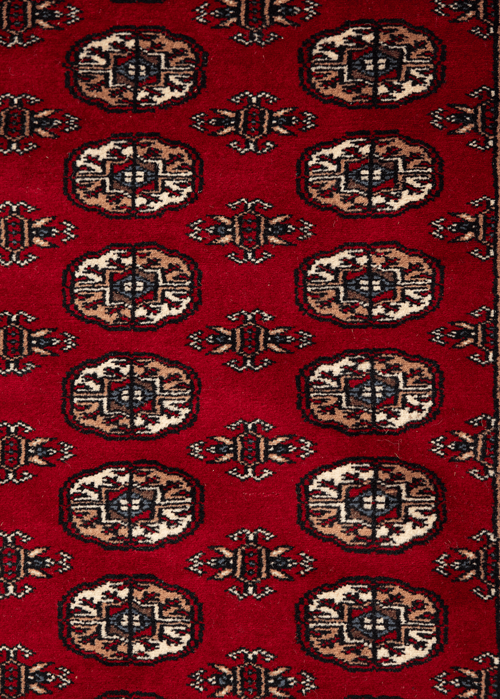 Bukhara Red — Venjara Carpets
