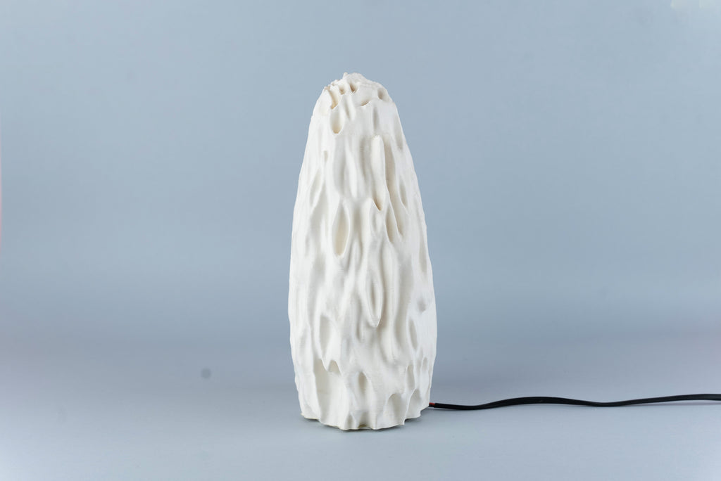 Untouched Coral