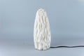 Untouched Coral