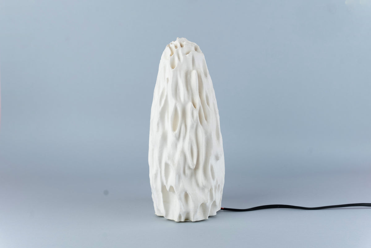 Untouched Coral