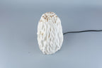 Untouched Coral