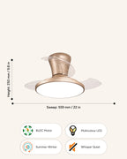 Aari - Hugger (Low-Ceiling) Fan