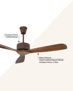 Cherry - Modern Wooden Fan