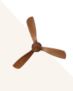 Cherry - Modern Wooden Fan