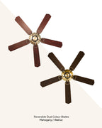 Classic - Classical Vintage Fan