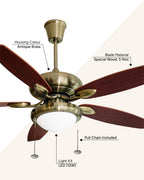 Elegance - Classical Vintage Fan