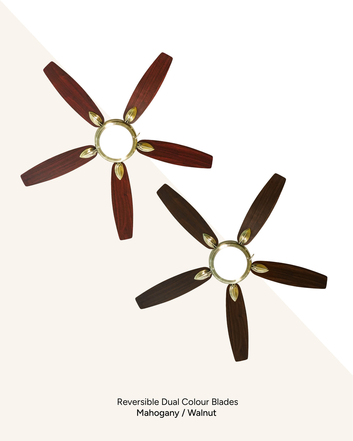 Elegance - Classical Vintage Fan