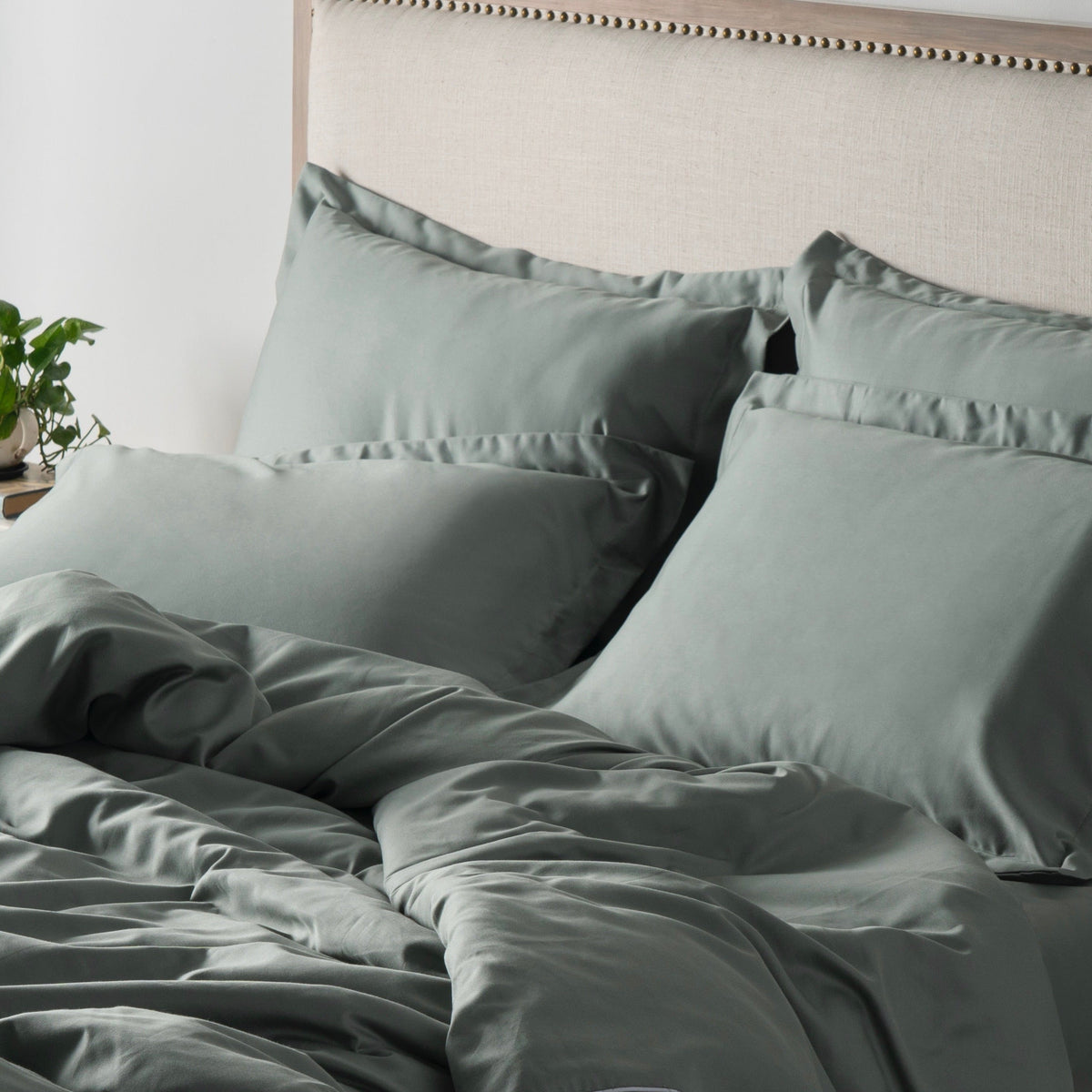 Classic Luxe Pillowcase Pair | 600 Thread Count | Standard | Fern