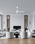 Swing - Simply Modern Fan