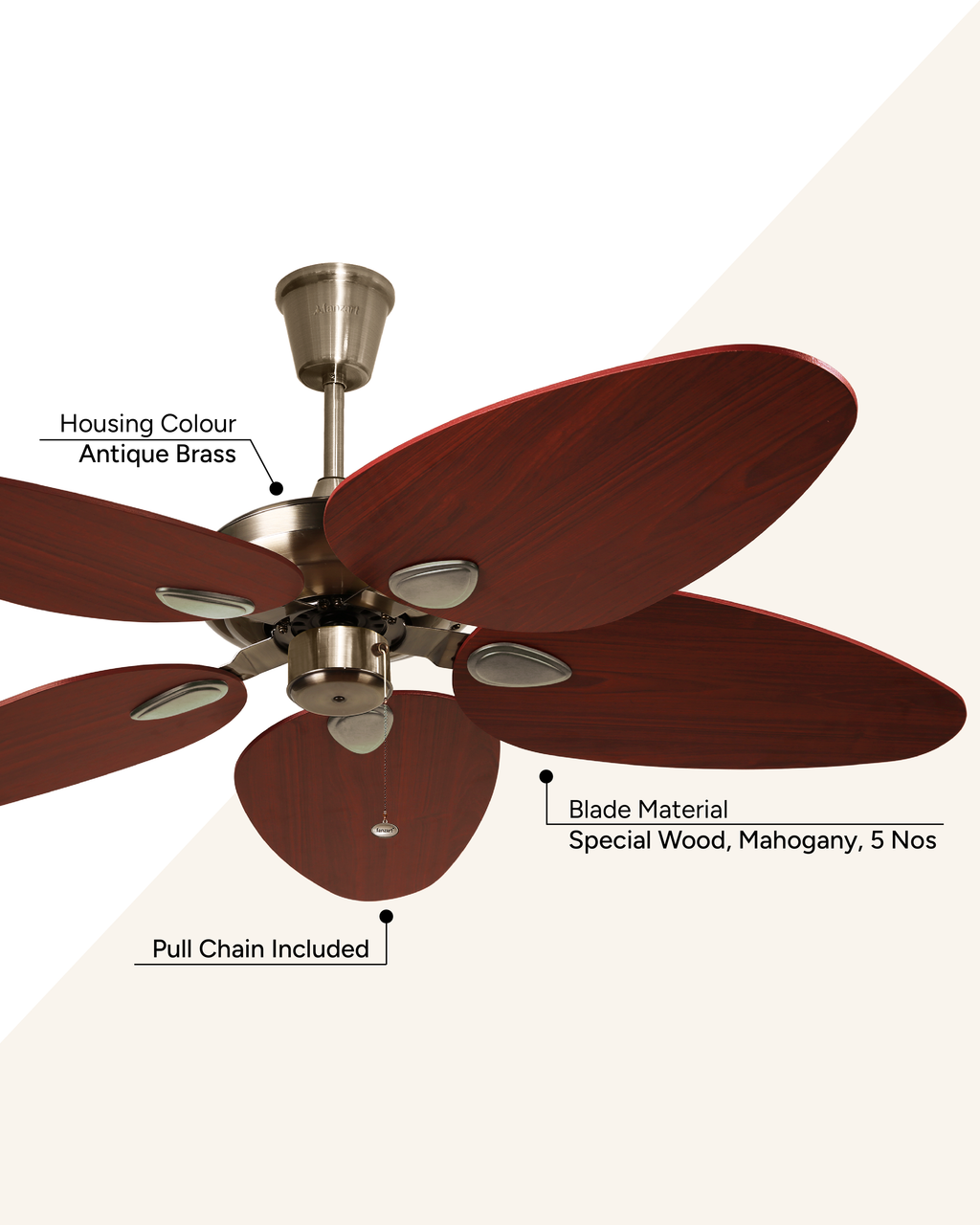 Kamal - Trendy Tropical Fan