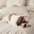 Piping Hotel Duvet Cover | 300 Thread Count | King | Beige