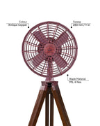 King Edward 12'' - Royal Tripods Fan