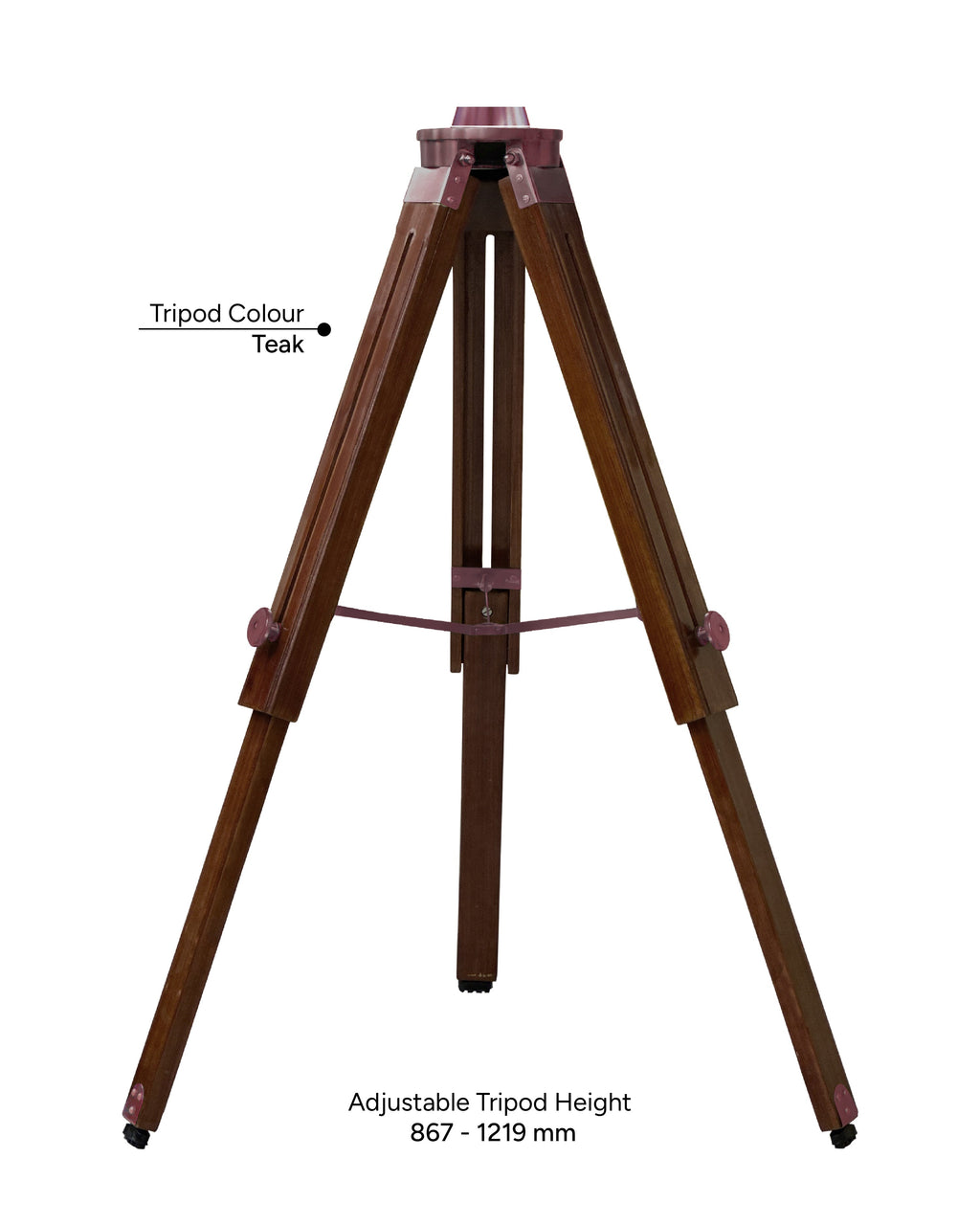 King Edward 12'' - Royal Tripods Fan