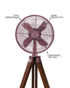 King George 12'' - Royal Tripods Fan