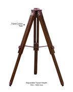 King George 18''- Royal Tripods Fan