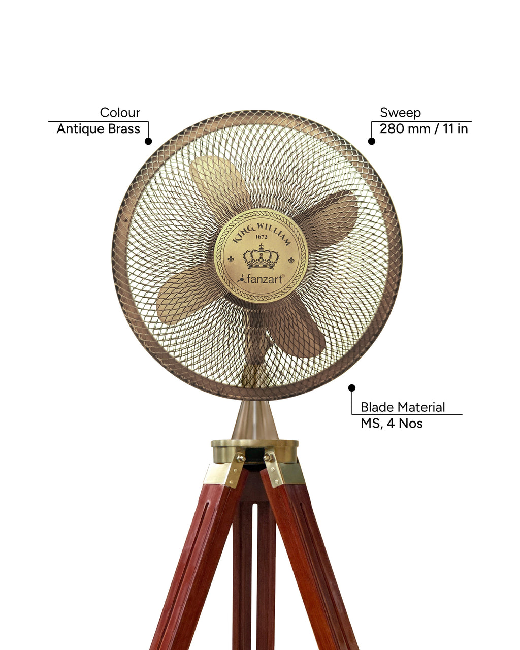 King William 12''- Royal Tripods Fan