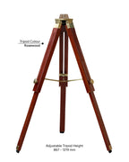 King William 12''- Royal Tripods Fan