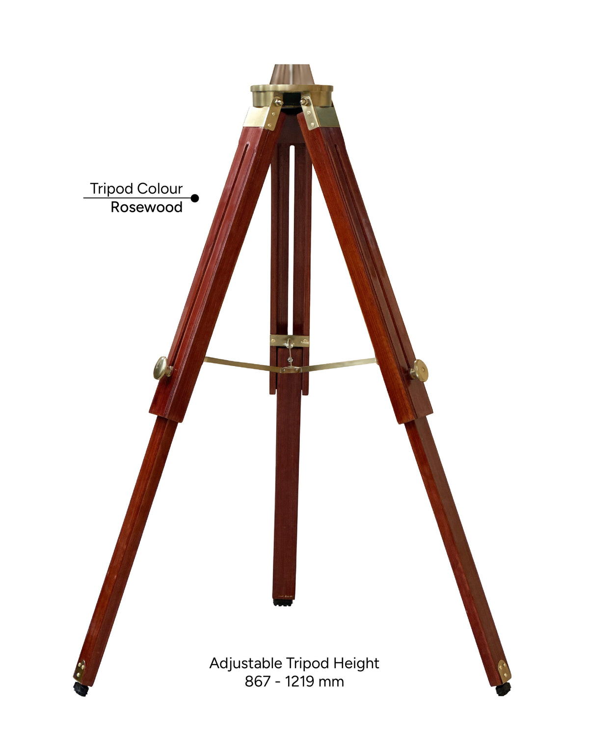 King William 12''- Royal Tripods Fan