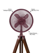 King William 12''- Royal Tripods Fan