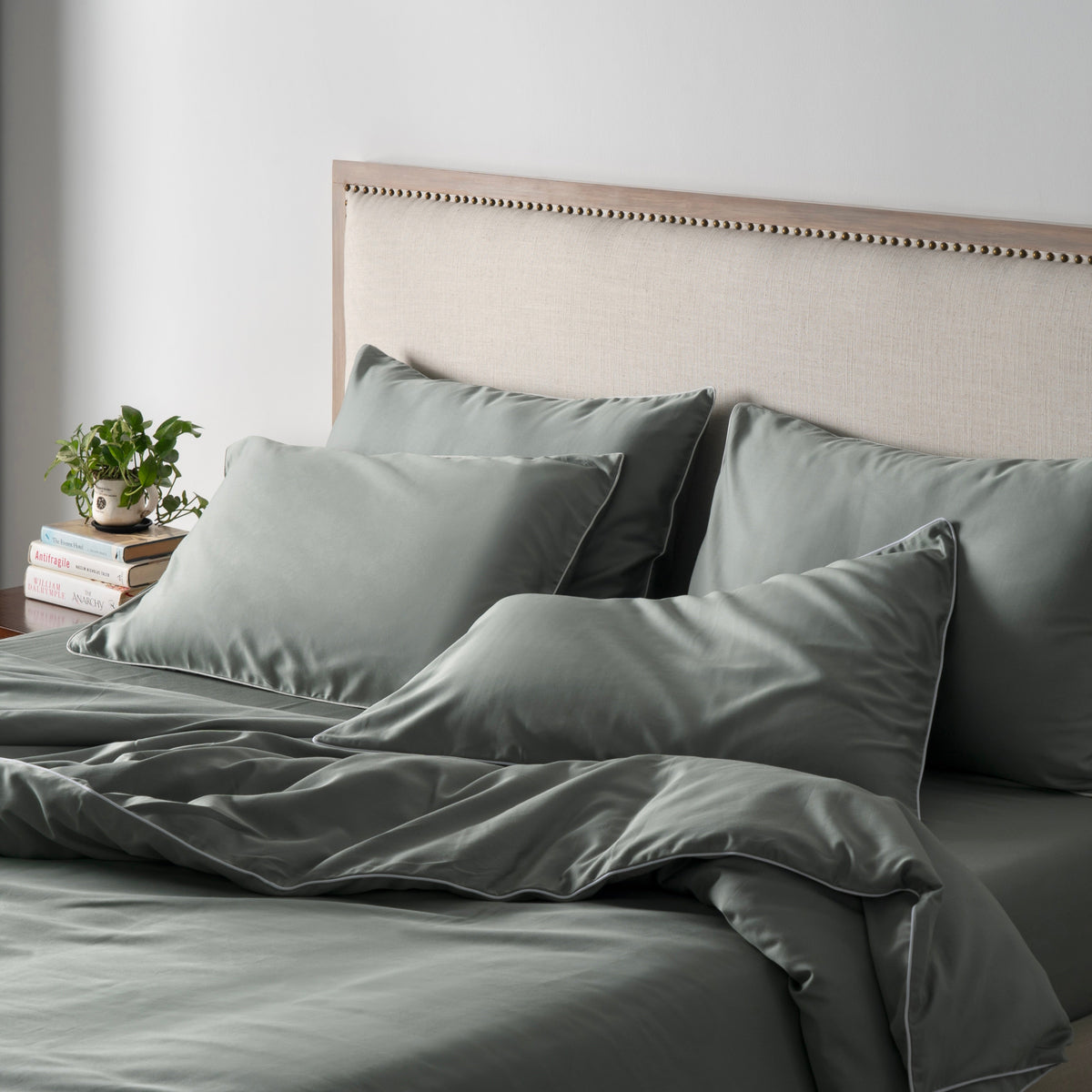 Piping Luxe Pillowcase Pair | 600 Thread Count | Standard | Fern