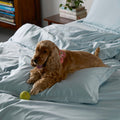 Classic Luxe Duvet Cover | 600 Thread Count | King | Blue Mist