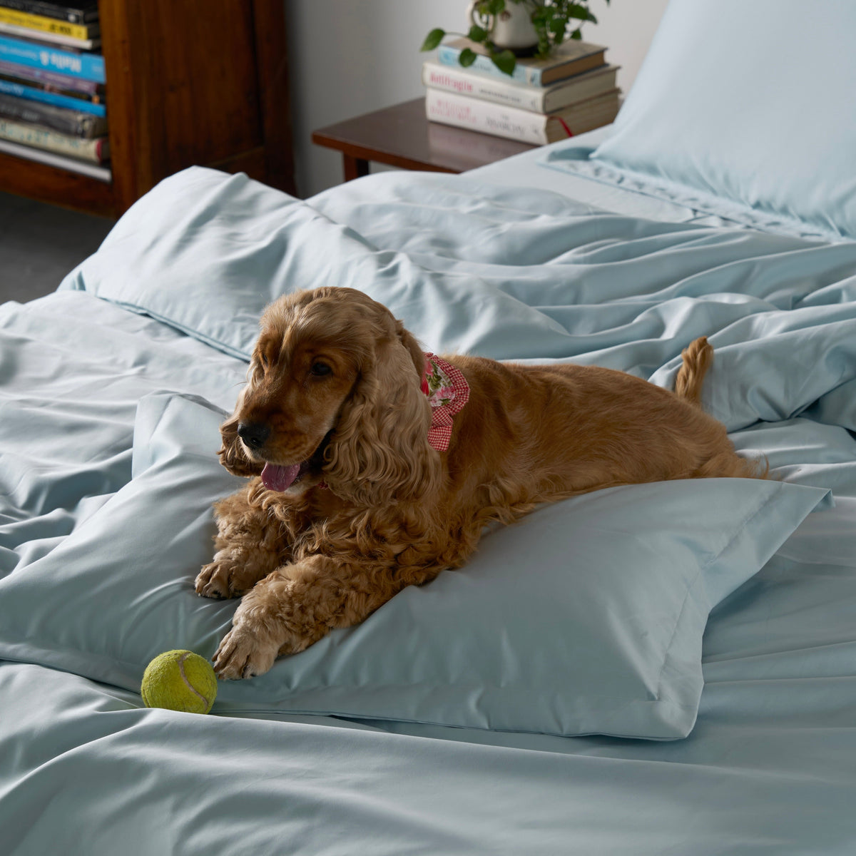 Classic Luxe Duvet Cover | 600 Thread Count | King | Blue Mist