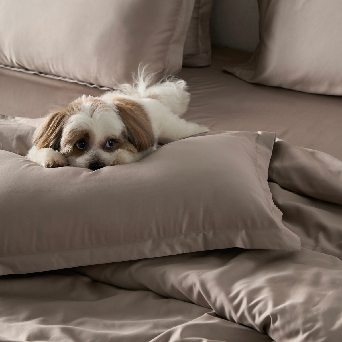 Classic Luxe Pillowcase Pair | 600 Thread Count | Extra Large | Espresso