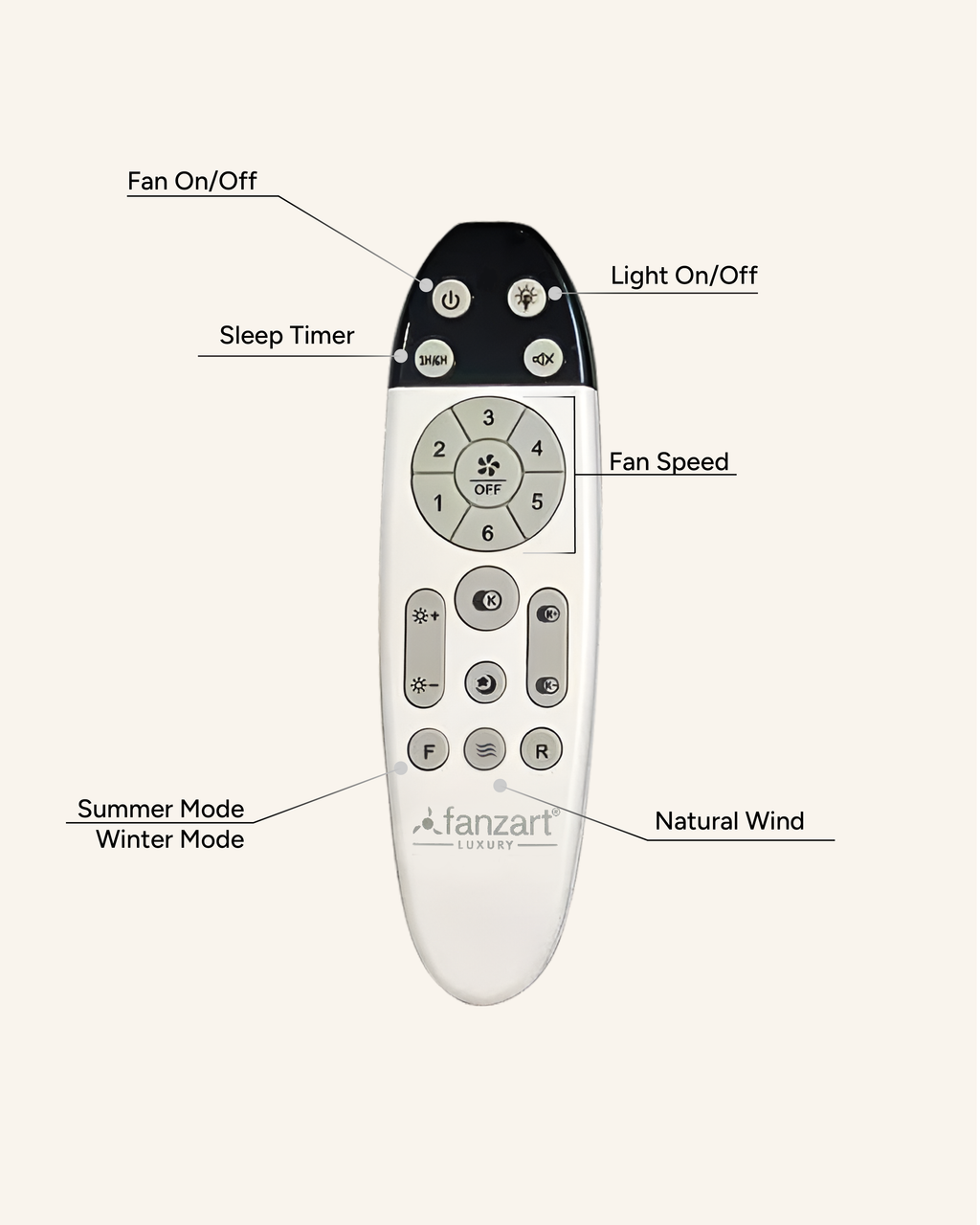 Loop - Simply Modern Fan