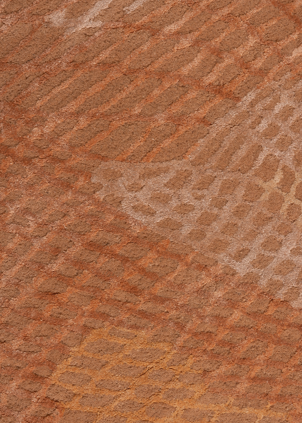 Coral Haze — Venjara Carpets
