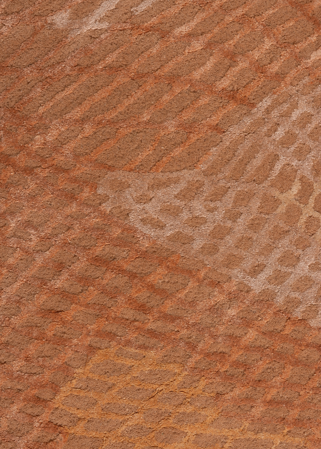 Coral Haze — Venjara Carpets