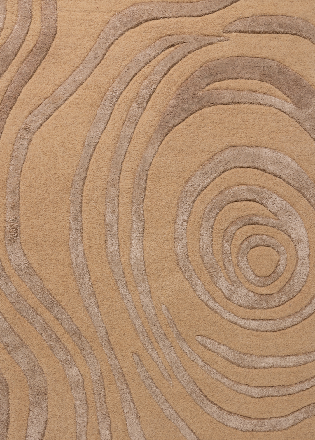 Amoeba — Venjara Carpets