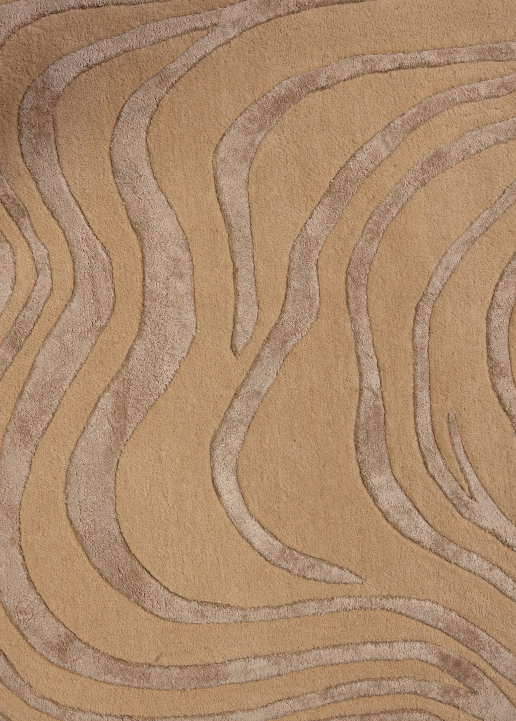 Amoeba — Venjara Carpets
