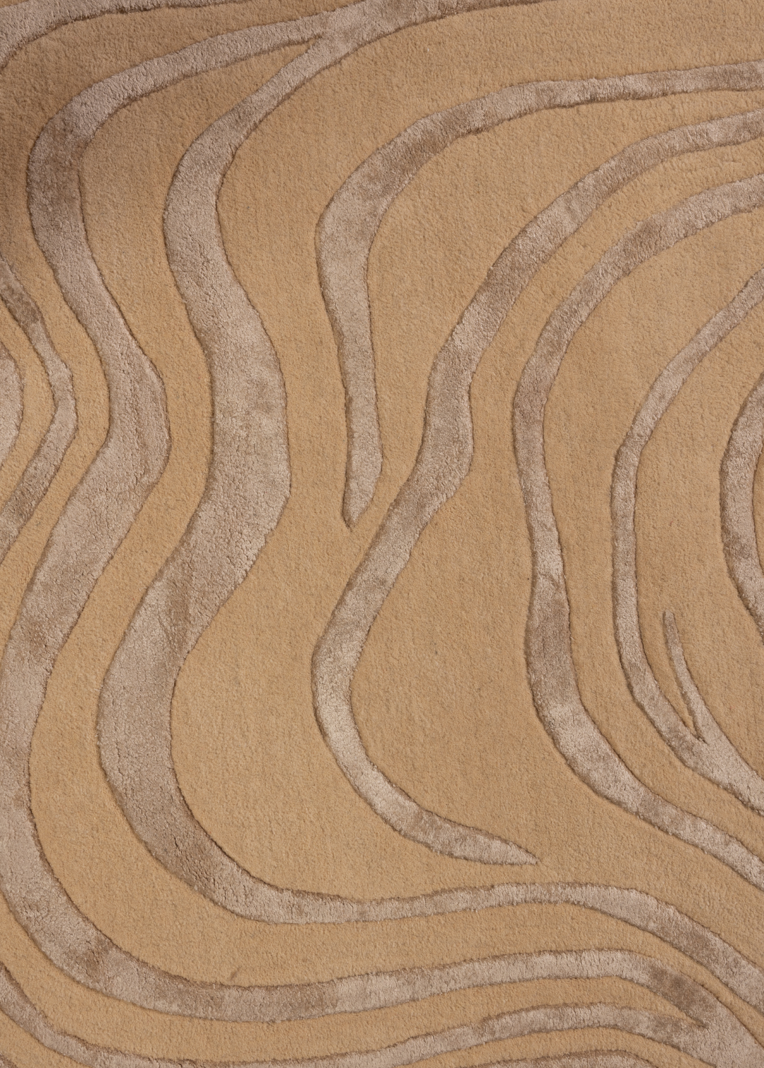 Amoeba — Venjara Carpets