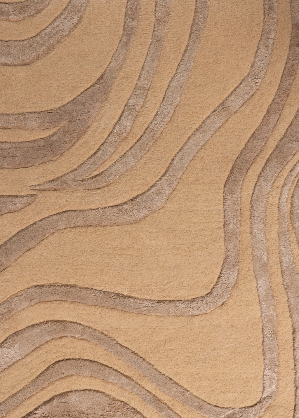 Amoeba — Venjara Carpets