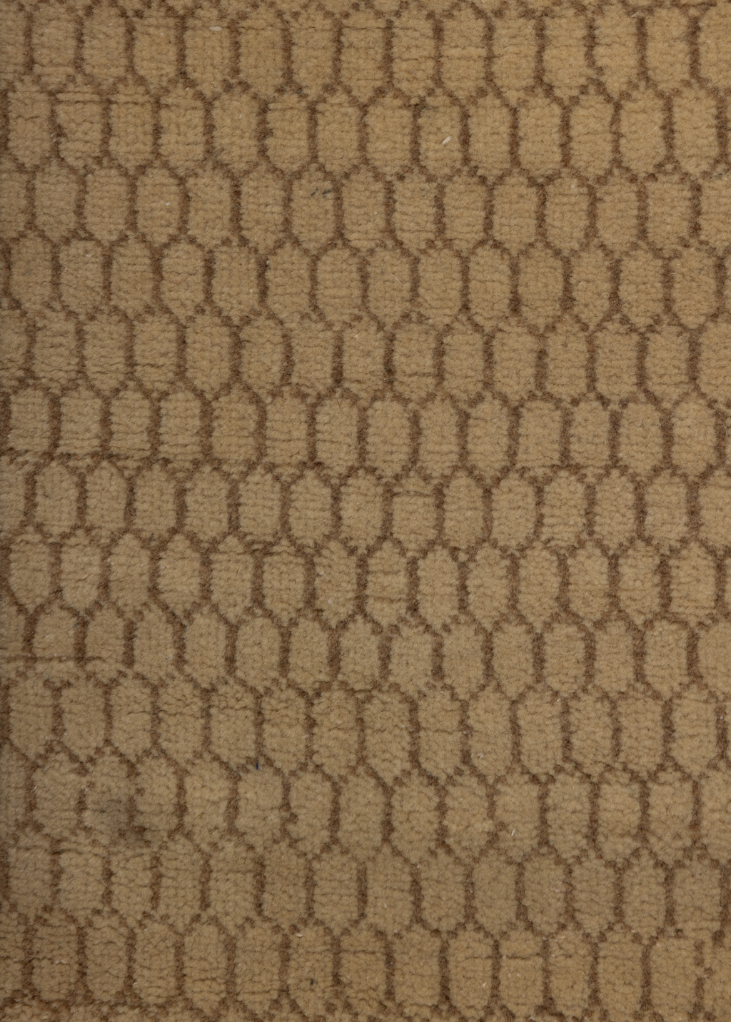 Backyard — Venjara Carpets