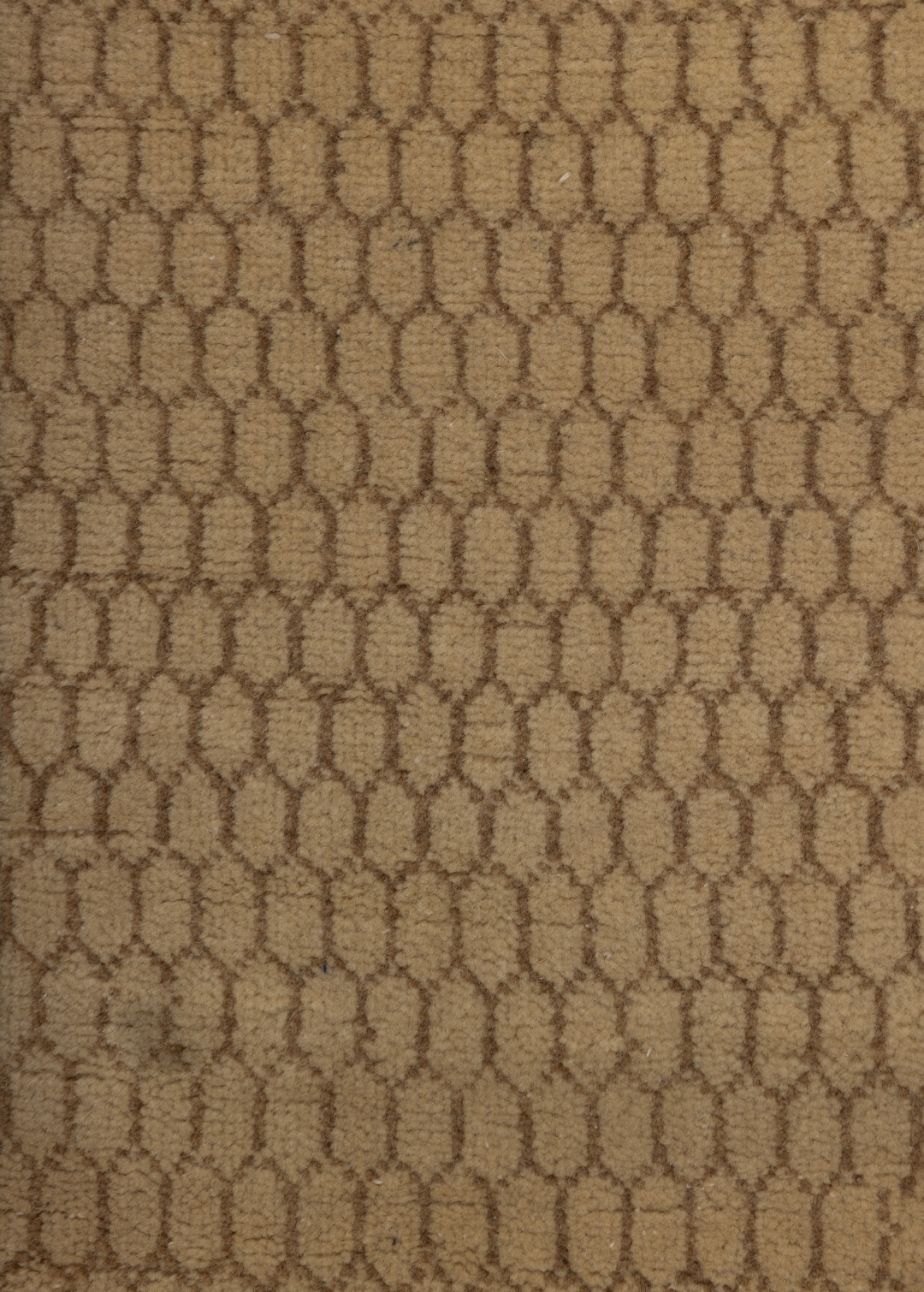 Backyard — Venjara Carpets
