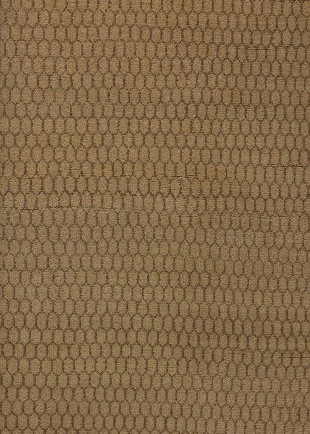 Backyard — Venjara Carpets