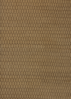 Backyard — Venjara Carpets