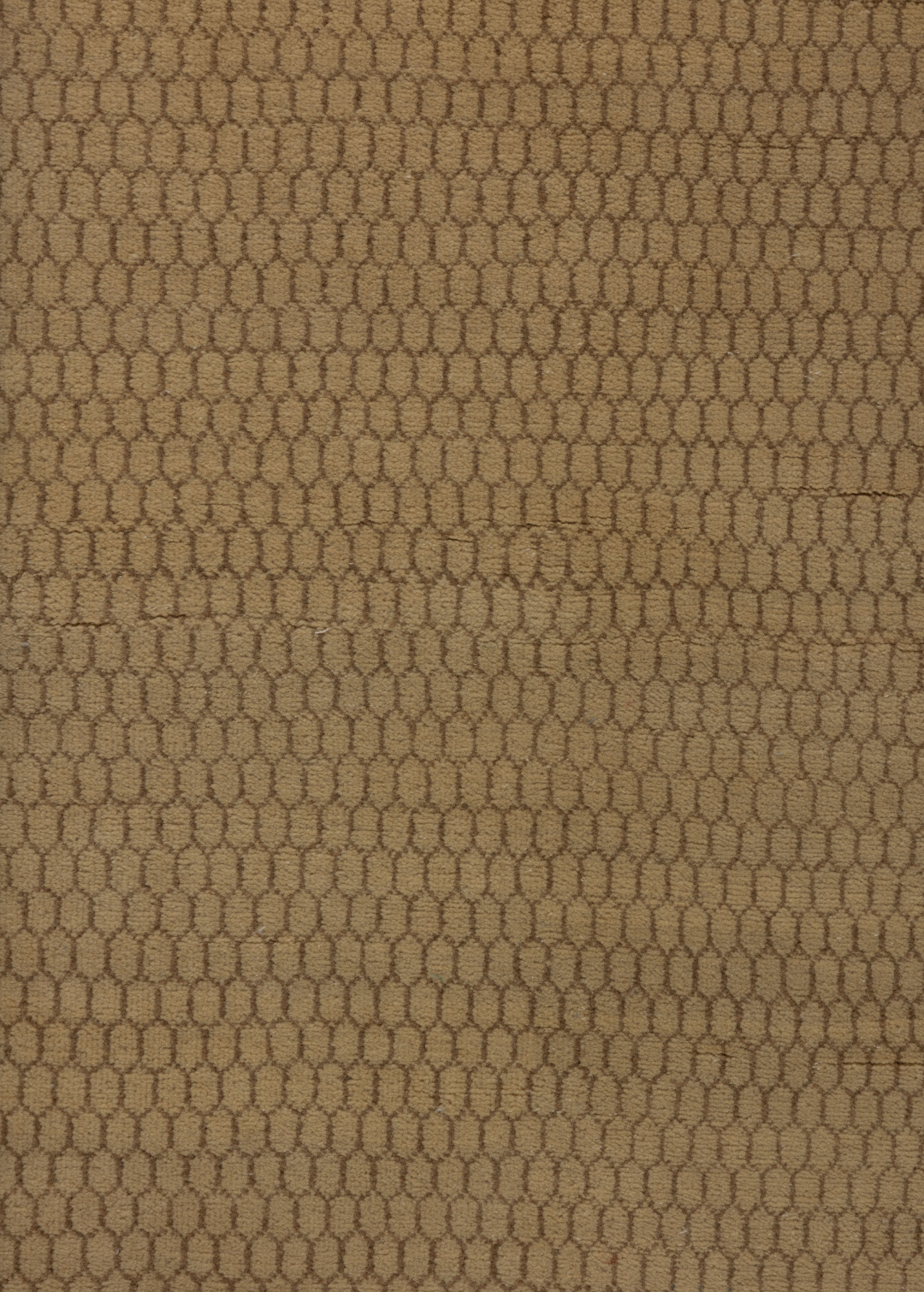 Backyard — Venjara Carpets