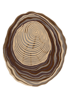 Oyster — Venjara Carpets