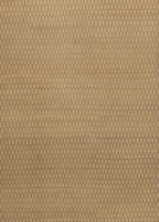 Backyard — Venjara Carpets